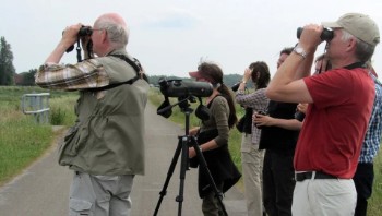 Interest - Bird Watching