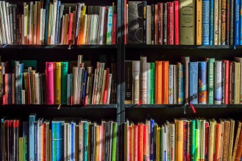 Interest - Reading